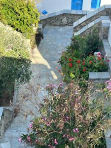 a garden with flowers and plants on a stone path at Serifos house in Serifos Chora