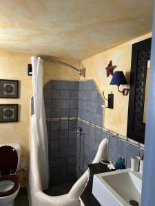 a bathroom with a shower and a toilet and a sink at Serifos house in Serifos Chora