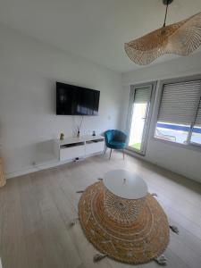 Un televizor și/sau centru de divertisment la Appartement lumineux avec vue sur mer a 50 m de la plage et du centre +15 fotografii