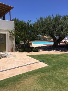 a house with a tree and a swimming pool at Xenon Estate in Spetses