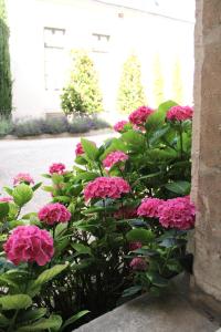 a bunch of pink flowers in a garden at Dijon hypercentre - Hotel particulier - Philippe le Hardi in Dijon +6 photos