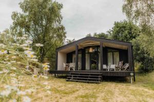 a black tiny house in a field with chairs at Resort Wilsumer Berge in Wilsum