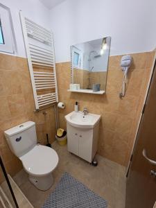 Phòng tắm tại Casa Magda - Oaza de Relaxare