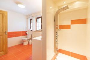 a bathroom with a shower and a toilet at Gîte Kalinka in Vercheny +25 photos