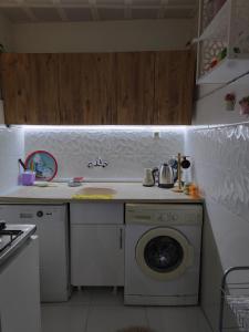 Kuchyň nebo kuchyňský kout v ubytování An Istanbul tale, an Istanbul dream, garden house