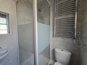a bathroom with a shower and a toilet and a sink at Piccadilly West End Studio in London