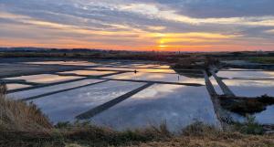 aivatedivatedivated field with the sunset in the background at Kerstunt Chambre d'hôtes Relais Motards in Guérande +11 photos