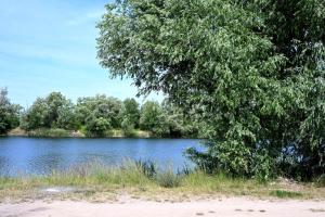 a lake with a tree and some grass and water at Ośrodek Szkoleniowo-Wypoczynkowy Akademii Bialskiej in Międzyrzec Podlaski +9 photos