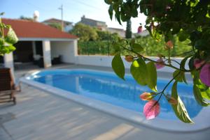 Bazén v ubytování Luxury Apartment Kalebic nebo v jeho okolí