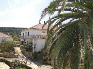 a palm tree in front of a white house at Guest House Nikola in Božava