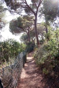 Gallery image of CS Glamping - Tende in SantʼAnna +72 photos