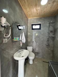 a bathroom with a white sink and a toilet at Sunshine Borjomi in Borjomi +49 photos