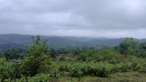a view of a valley with trees and mountains at Saketa Homestay in Linganamakki +3 photos