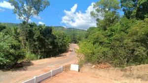 a dirt road in the middle of a forest at Saketa Homestay in Linganamakki
