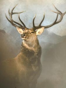 a painting of a deer with its reflection in the water at Cloverdale Aparthotel in Aberdeen +15 photos