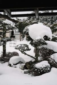 冬天的祥和之家 Serenity Home