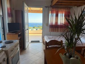 a kitchen with a view of a living room at LEFKADA TWINS 4 in Agios Kirykos