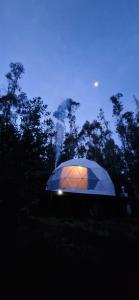 Fotografie z fotogalerie ubytování Domo con opcion a tinaja en medio del bosque v destinaci Pitrufquén