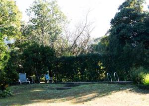 ein Stuhl, der in einem Hof neben einer Hecke steht in der Unterkunft Duplex en San Lorenzo, Salta in Salta