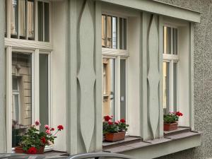 Balkón nebo terasa v ubytování Oasis Valley