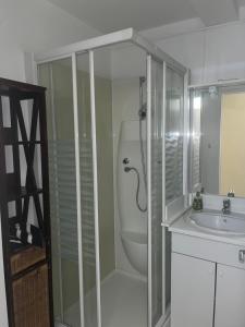 a bathroom with a shower and a toilet and a sink at La belle époque in Bourg-en-Bresse +21 photos