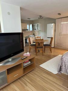 a living room with a large television and a kitchen at Lake & Mountain retreat in Lagadin, OHRID in Lagadin +10 photos