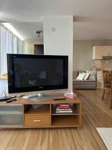 a living room with a large flat screen tv at Lake & Mountain retreat in Lagadin, OHRID in Lagadin