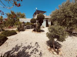 a garden with a bench and some bushes and trees at Villa Il Carrubo val di noto con piscina privata in Avola