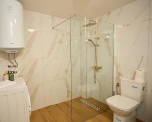 a bathroom with a toilet and a glass shower at Arhetip, Kikina Villa in Njegovuđa +17 photos