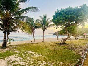 Anse-BertrandにあるCocon des îlesのヤシの木と海のあるビーチ