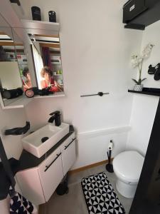 a bathroom with a sink and a toilet at Grand Chalet Jourdan 110 M² in Saint-Pons +20 photos