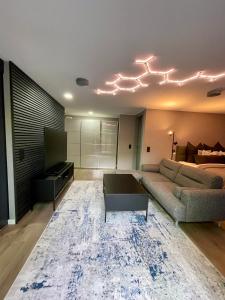 a living room with a couch and a television at Luxus Apartment Hannover in Hannover