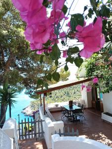 Gallery image of NSM Villa Carlotta E Villa Guarda che Mare in Vieste - Gargano- Puglia in Pugnochiuso