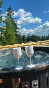 two wine glasses sitting on the edge of a river at La Știubei Cabin in Mărişel +45 photos