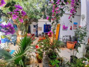 ラ・マルサにあるThe 18, Marsa Guest Houseの植花の多い庭園