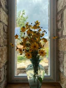 Gallery image of Saffron House south albania in Nivicë +4 photos