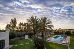 an aerial view of a backyard with a pool and palm trees at Villa Daïs - Marrakech in Marrakesh