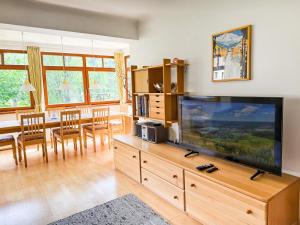 Televízia a/alebo spoločenská miestnosť v ubytovaní Villa Schnuck - das rote Ferienhaus