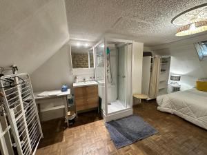 a bedroom with a bed and a sink and a shower at Petite Maison avec jardin privée in Savigny-en-véron