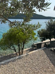 two trees on a beach next to the water at Apartman Ana in Neum