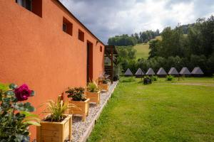 a building with potted plants on the side of it at Stylový kemp pro skupinu v horách u koní - Omega in Sobotín