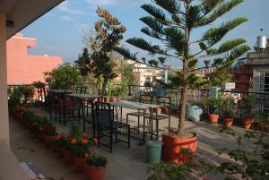 eine Terrasse mit Tischen, Stühlen, Bäumen und Pflanzen in der Unterkunft Kathmandu Madhuban Guest House in Kathmandu