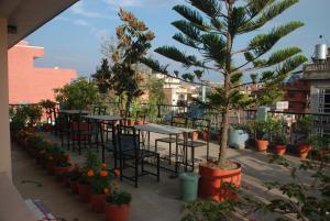 Zahrada ubytování Kathmandu Madhuban Guest House