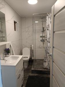 a bathroom with a toilet and a sink and a shower at Colț de lavandă in Braşov
