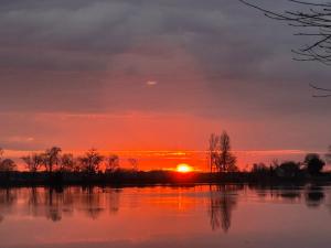 a sunset over a lake with trees in the foreground at Escale détente in Vayres