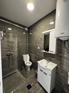a bathroom with a shower and a toilet and a sink at Nikos apartman in Soko Banja
