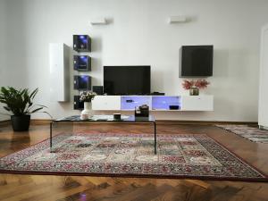 Televízia a/alebo spoločenská miestnosť v ubytovaní Konzul -Top apartment, strict center, parking