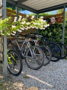 Cykling ved Antica Cascina - Corgeno eller i nærheden