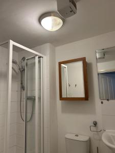 a bathroom with a shower and a toilet and a mirror at comfy residence in Moffat