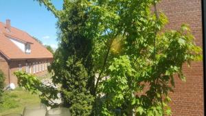 Zahrada ubytování Lily-Rose Cottage